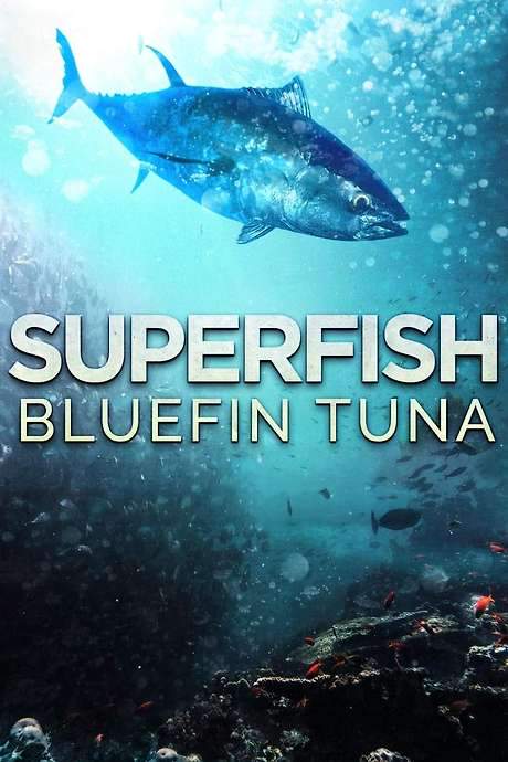Superfish: Bluefin Tuna